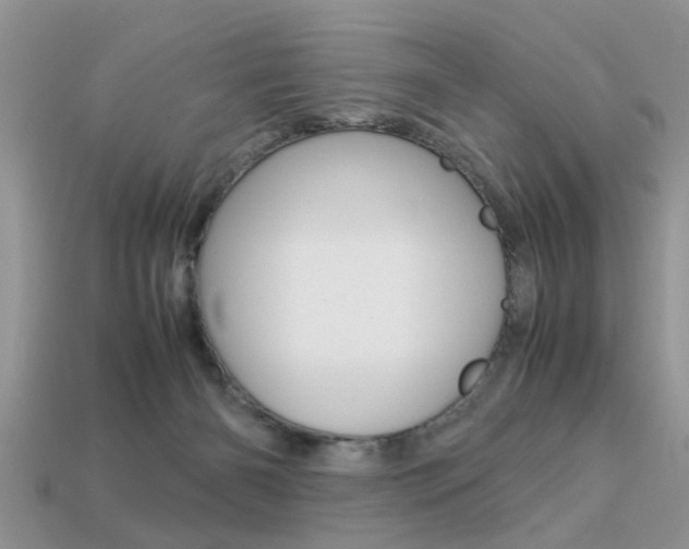X0000113220126200909100930