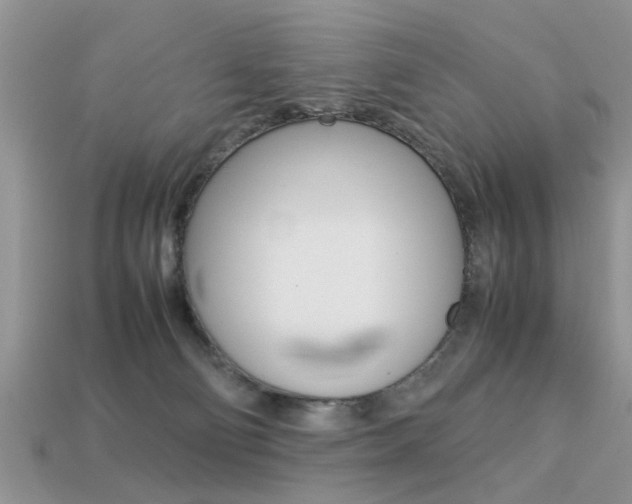 X0000113220130200909100930