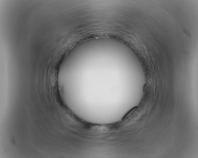 X0000113220133200909100930
