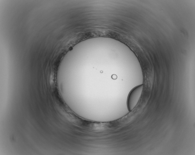 X0000113220134200909100930