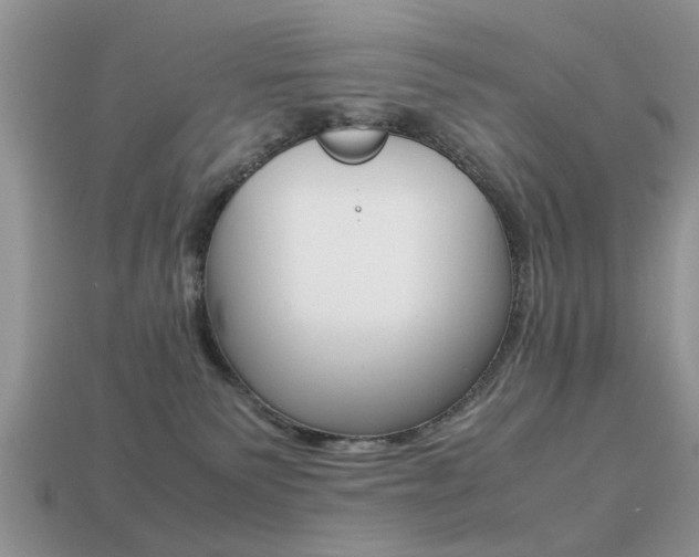 X0000113220135200909100930