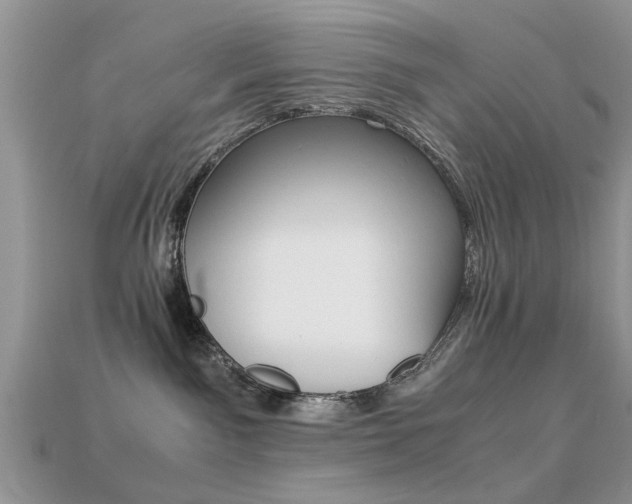 X0000113220141200909100930