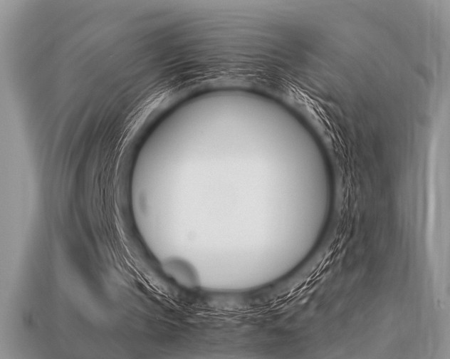 X0000113220145200909100929