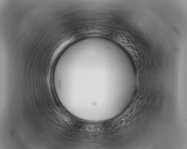 X0000113220147200909100930