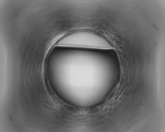 X0000113220148200909100930