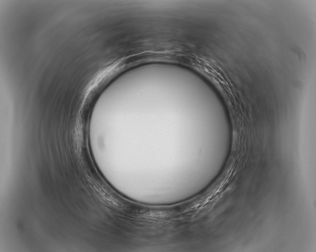 X0000113220149200909100930