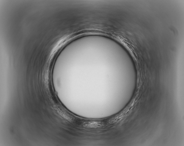 X0000113220151200909100930