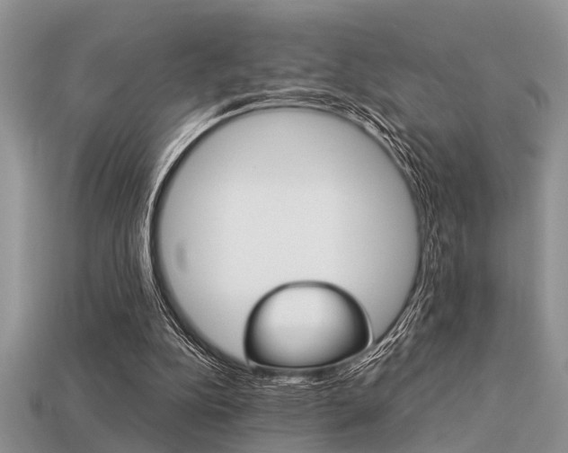 X0000113220152200909100930