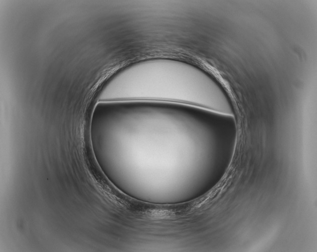X0000113220154200909100930