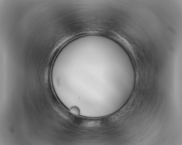 X0000113220155200909100930