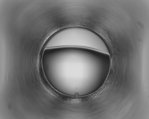 X0000113220156200909100930