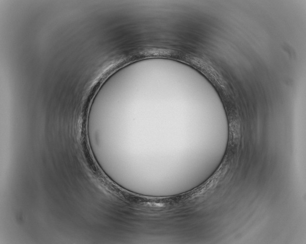 X0000113220159200909100930