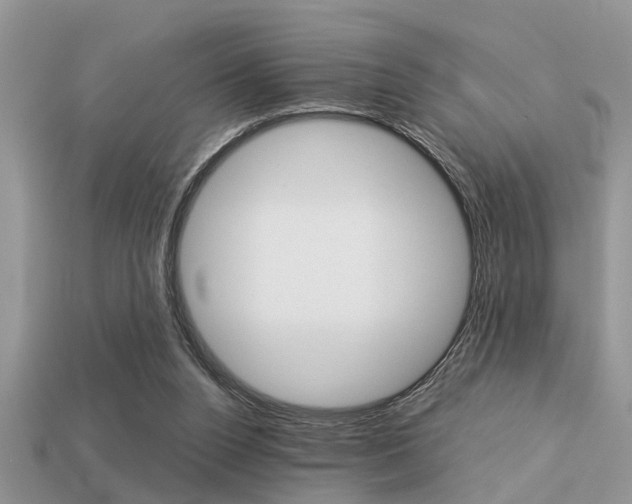 X0000113220160200909100930