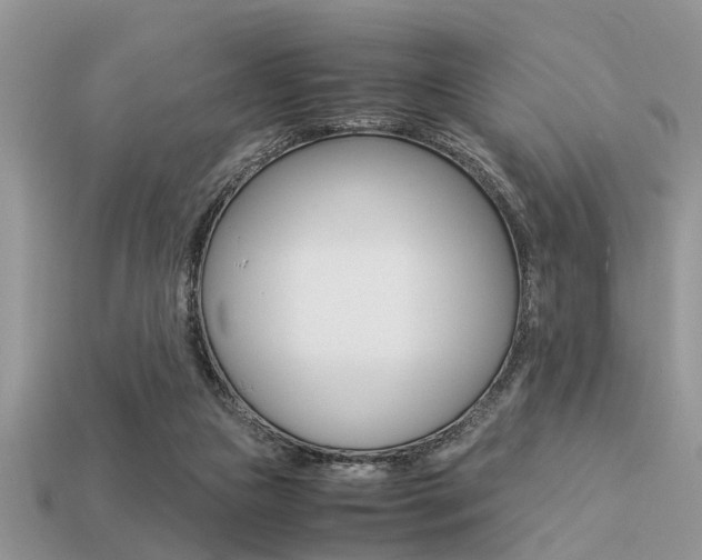 X0000113220161200909100930