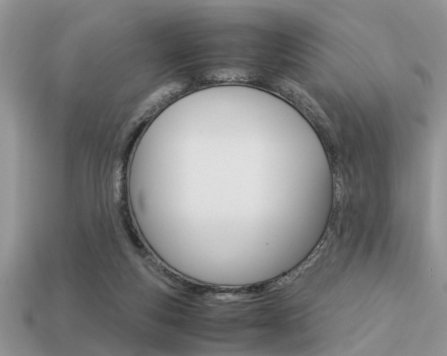 X0000113220163200909100930