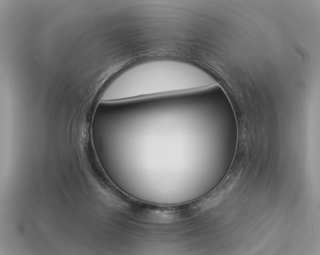 X0000113220164200909100930