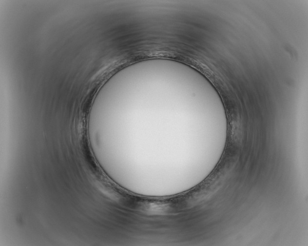 X0000113220165200909100930