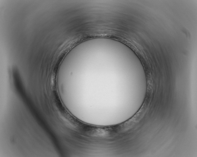 X0000113220166200909100930