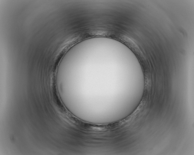X0000113220167200909100930