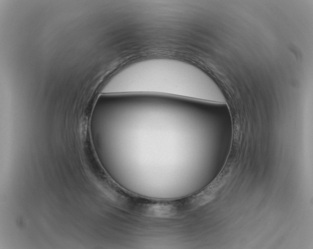 X0000113220168200909100930