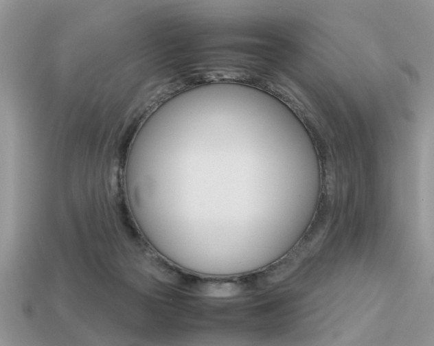 X0000113220169200909100930