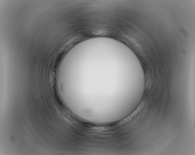 X0000113220171200909100930