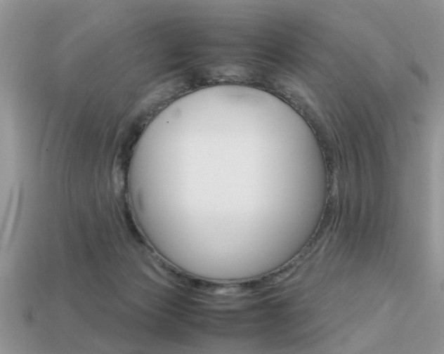 X0000113220173200909100930