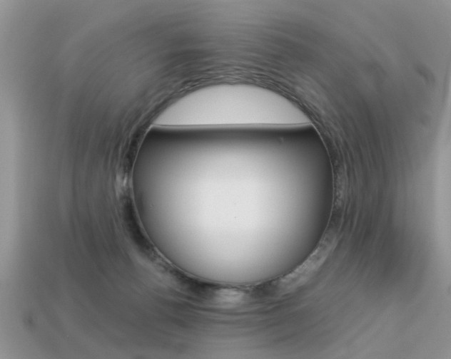 X0000113220176200909100930