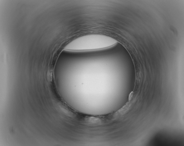X0000113220180200909100930