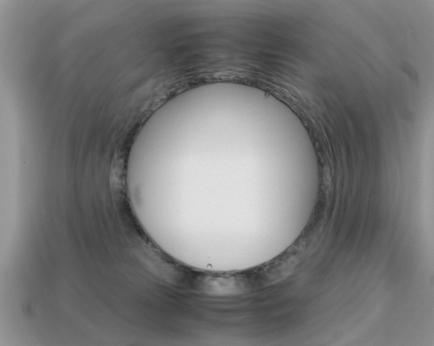 X0000113220181200909100930