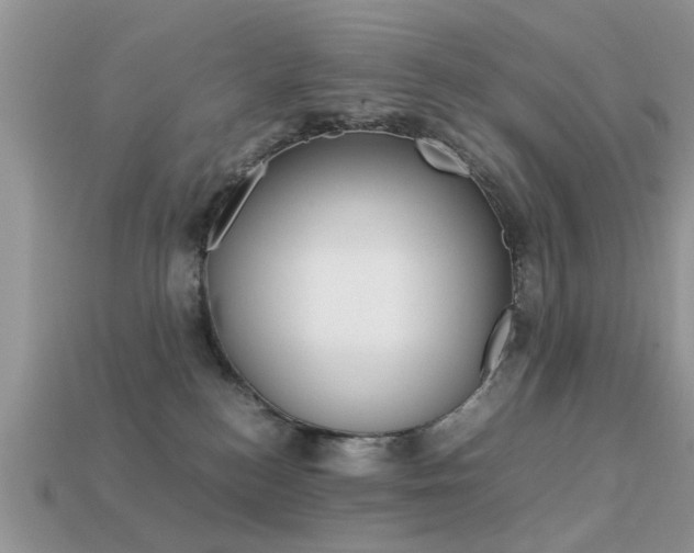 X0000113220184200909100930