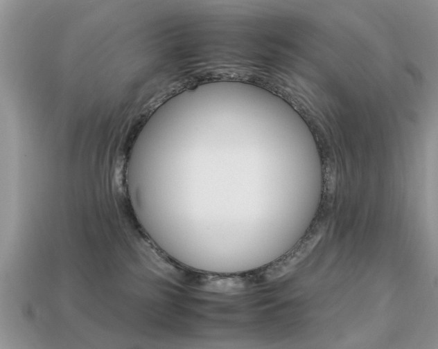 X0000113220185200909100930
