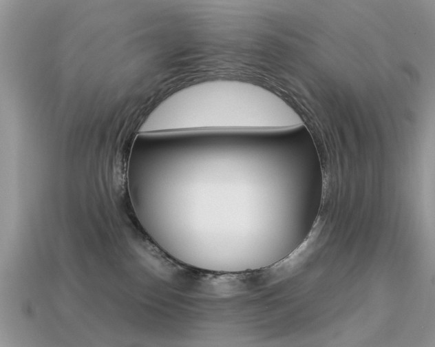 X0000113220186200909100930