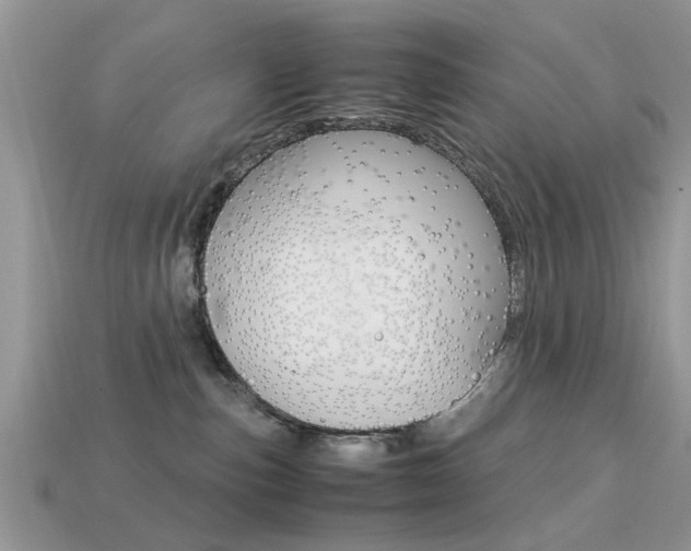 X0000113220187200909100930