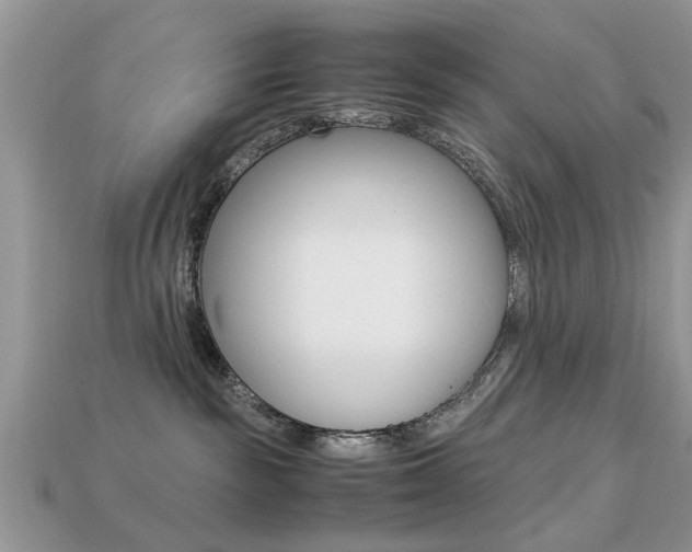 X0000113220189200909100930