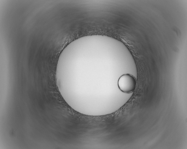 X0000113220192200909100930