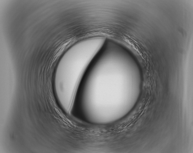 X0000113220193200909100929