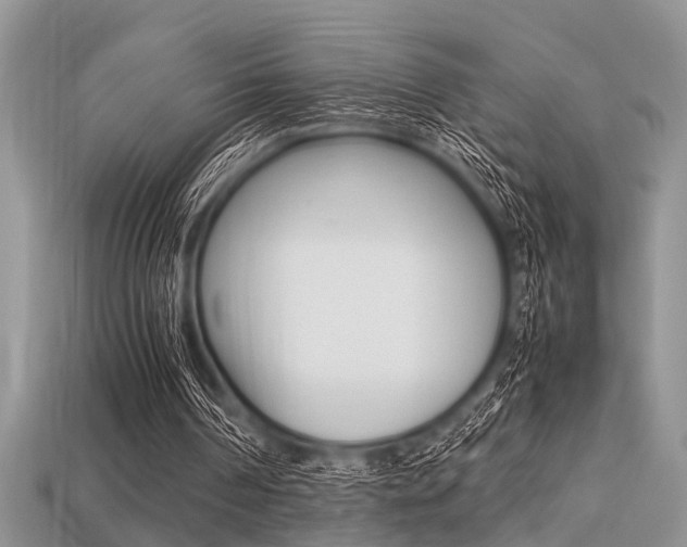 X0000113220194200909100929
