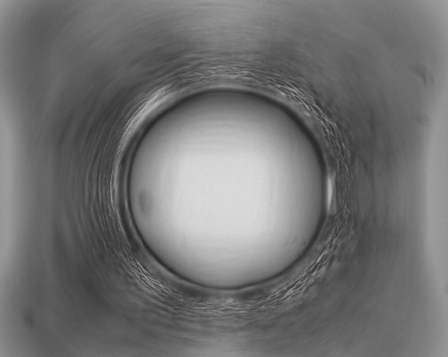 X0000113220195200909100929