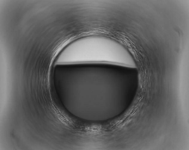 X0000113220196200909100929