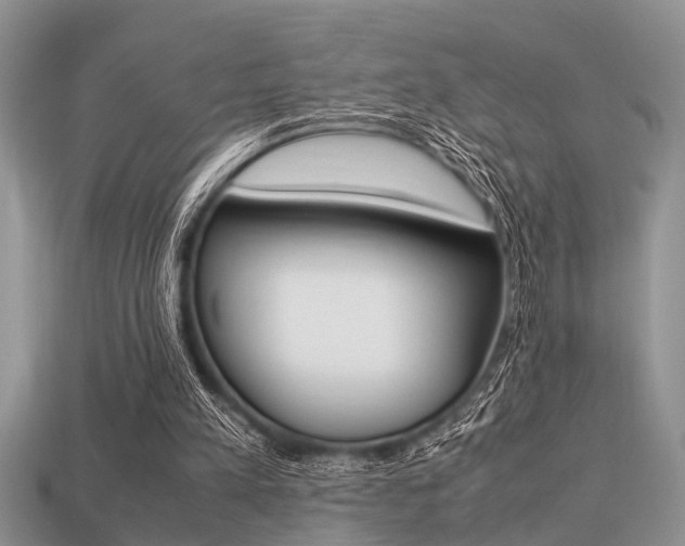 X0000113220197200909100929