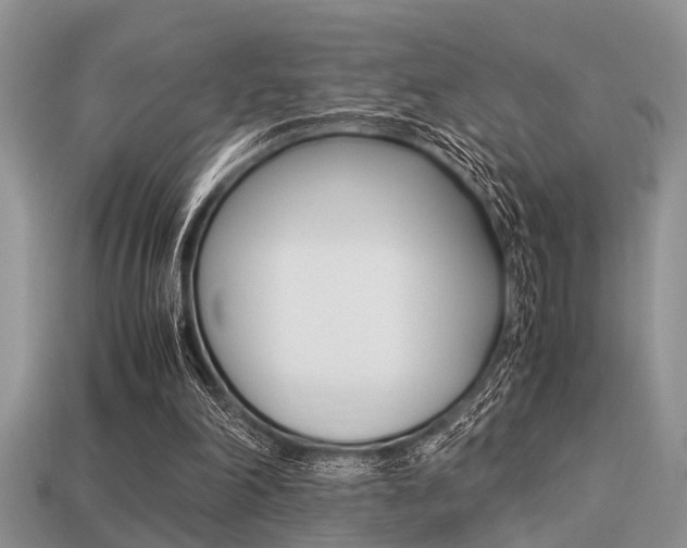 X0000113220198200909100929