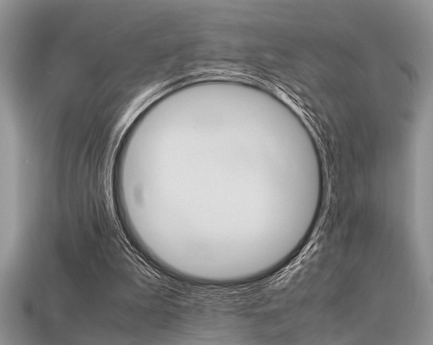 X0000113220199200909100929