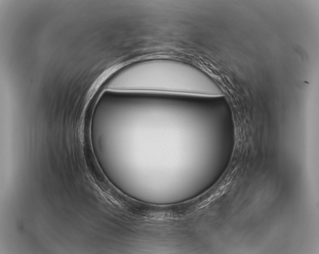X0000113220200200909100929