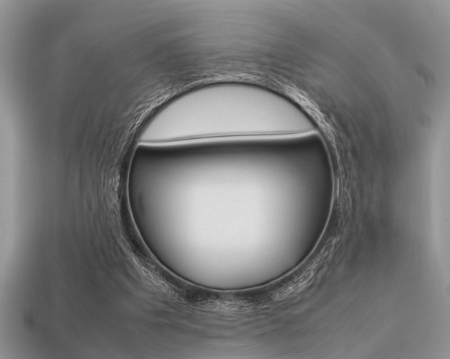 X0000113220201200909100929