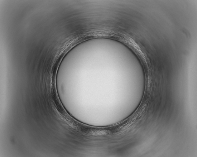 X0000113220202200909100929