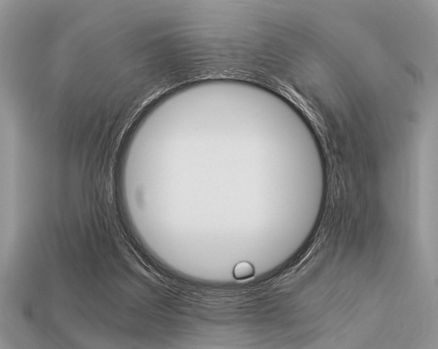 X0000113220203200909100929