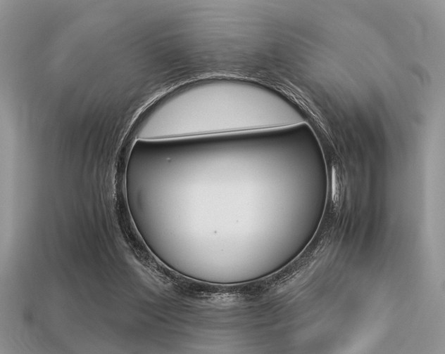 X0000113220204200909100929