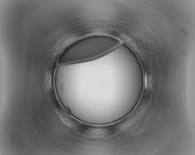 X0000113220205200909100929