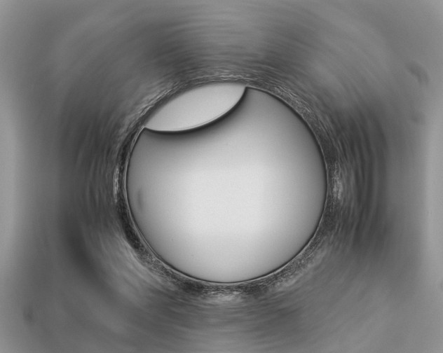 X0000113220206200909100929